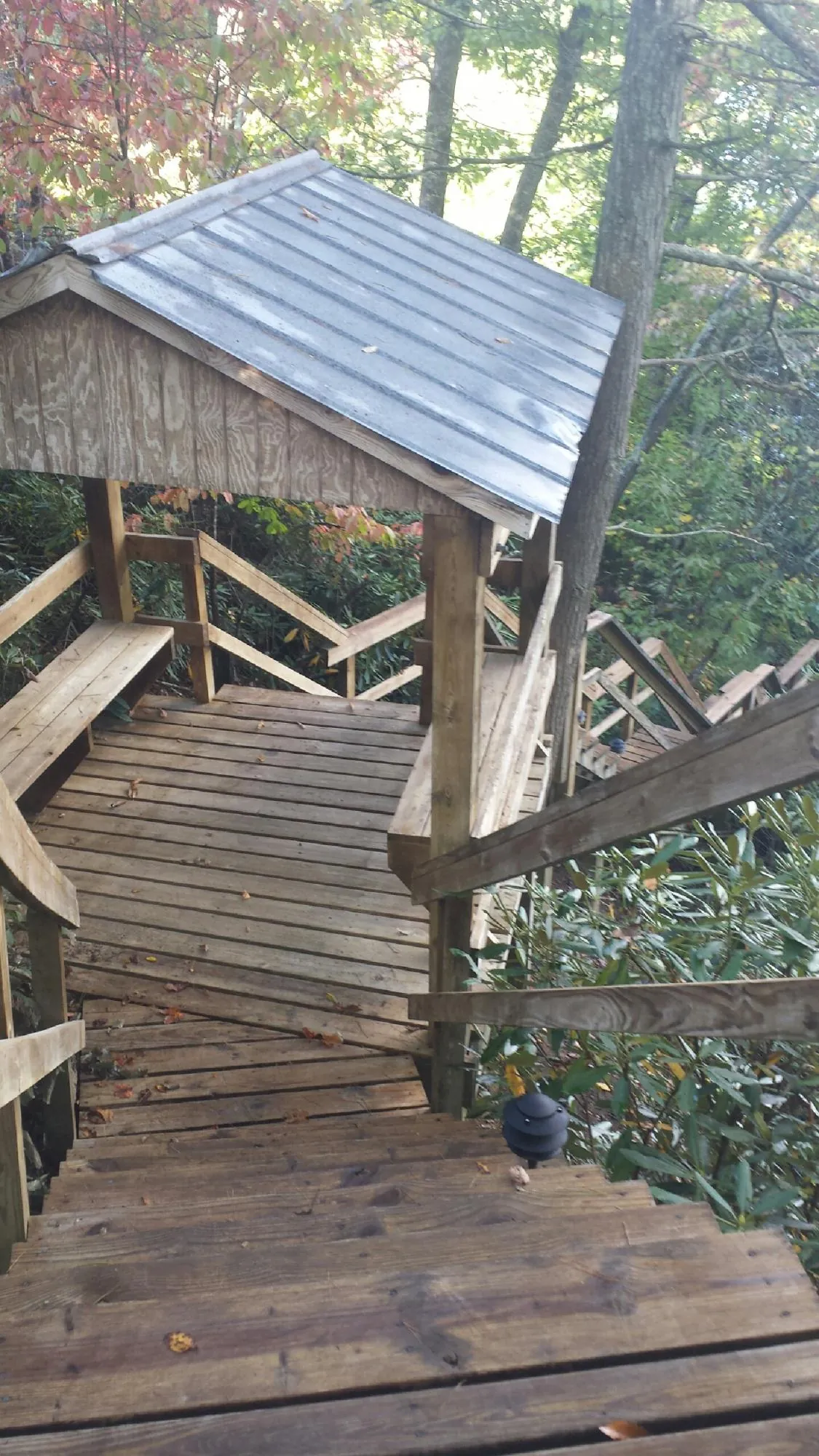 Metal roofed shelter over wooden steps on a wooded walkway — Skylight Repair & Installation work by our crew in Pegram